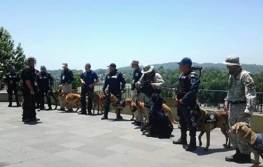 Équipe et maîtres-chiens avec leurs chiens de travail, photo du site original de WDS