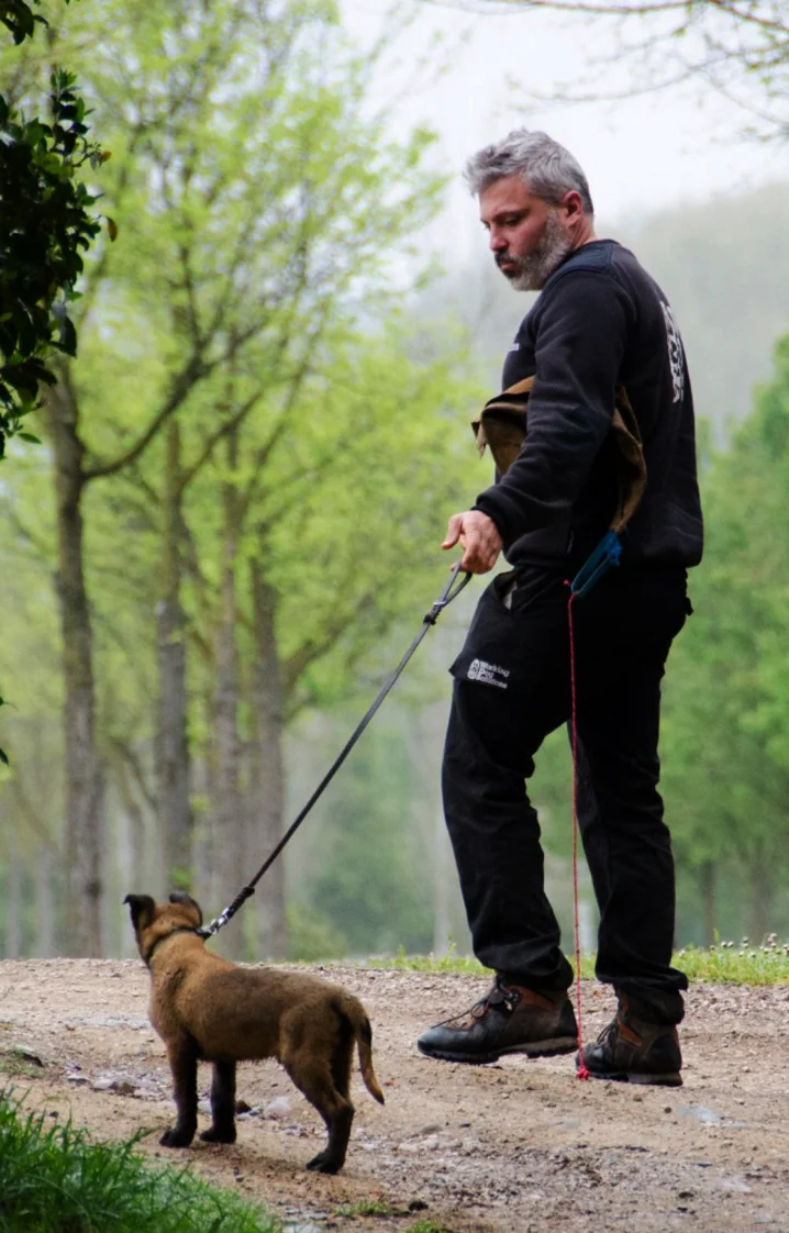 Promenade avec l’équipe WDS sur un chemin boisé
