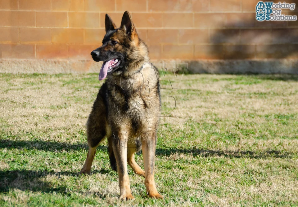 Published photograph of ABBY, 3
