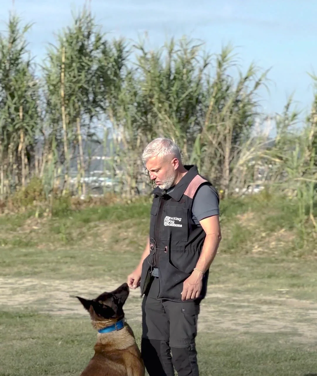 Travail et connexion avec un chien chez WDS