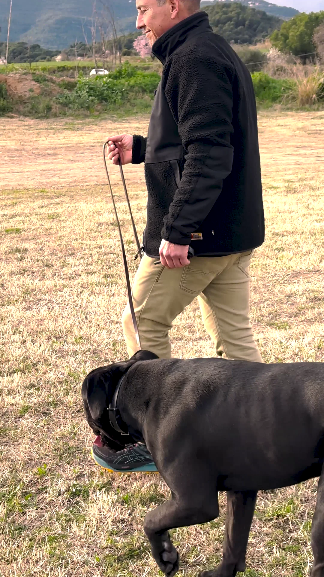 Xavier Lafuerza travaillant avec un chien chez Working Dog Solutions