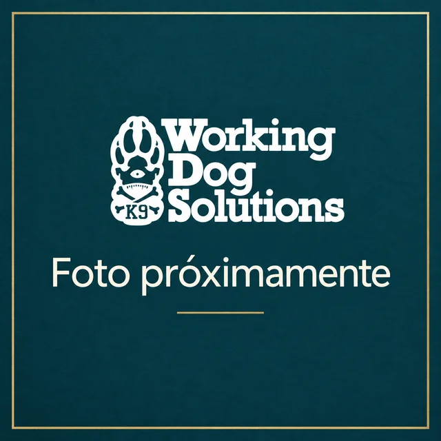 Foto próximamente