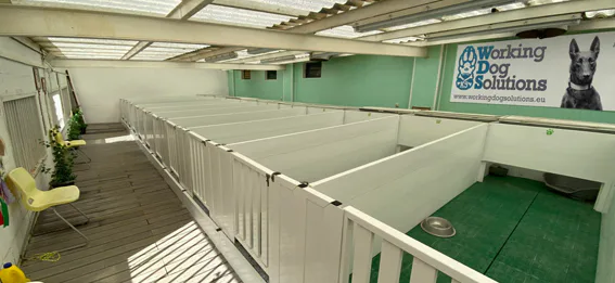 Intérieur de WDS avec des hébergements individuels et une zone couverte