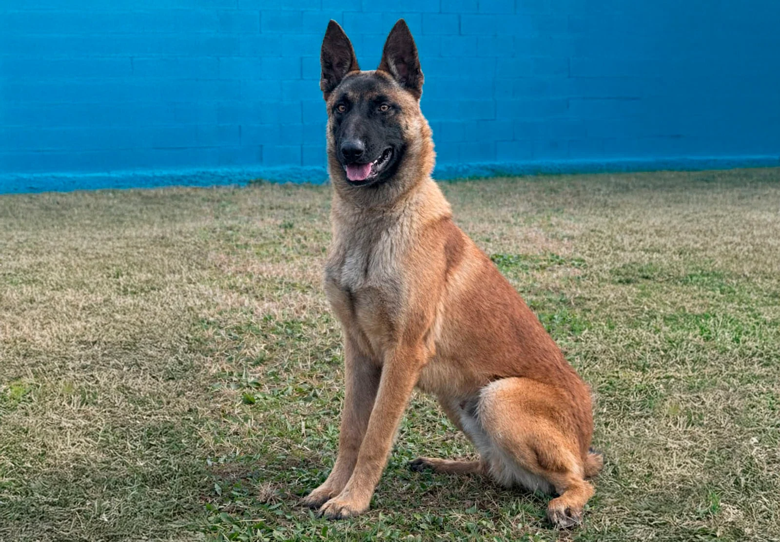 BRAN, fotografia 3