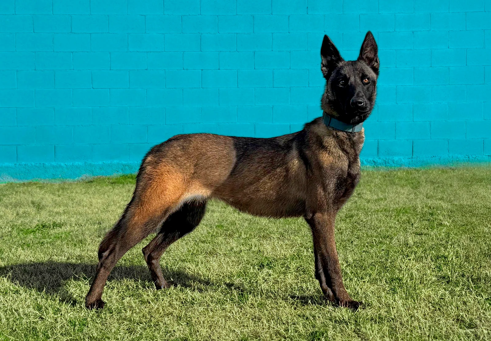 HERA_Fosca, fotografia 5
