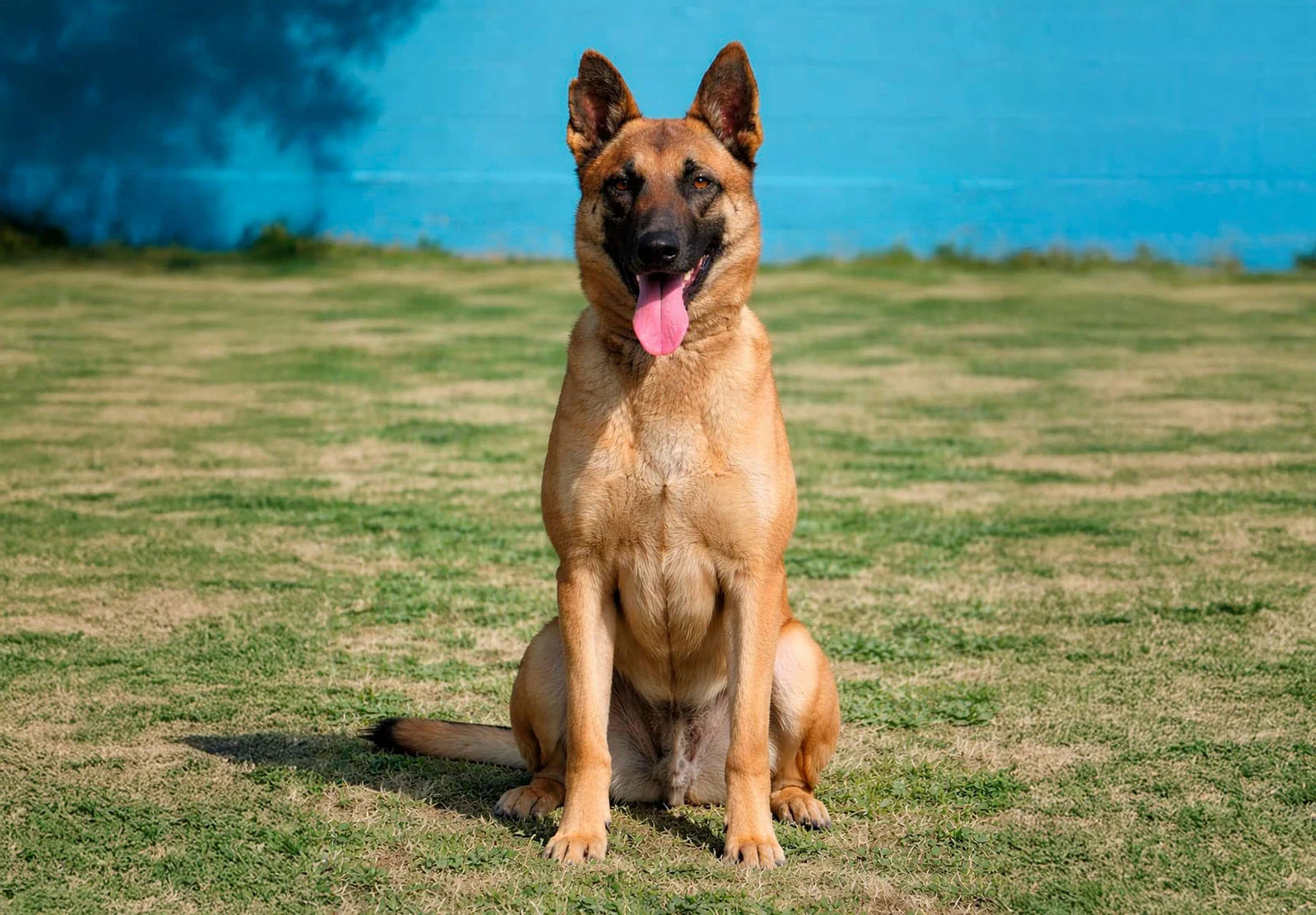 HERA, fotografia 3