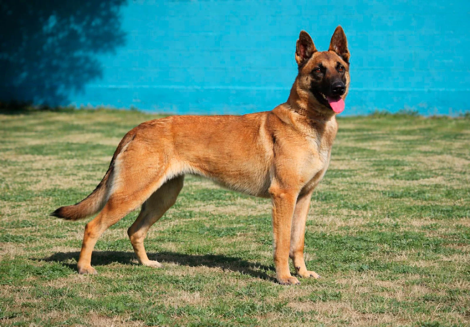 HERA, fotografia 4