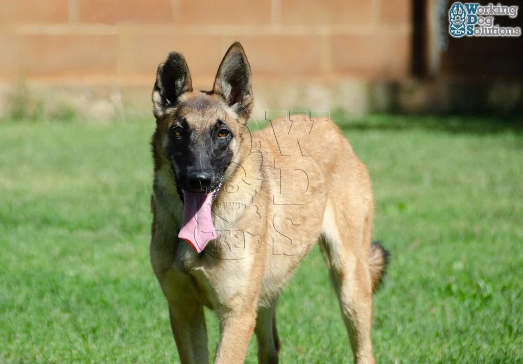 HERA, fotografia 5