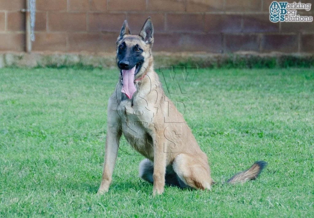 HERA, fotografia 8