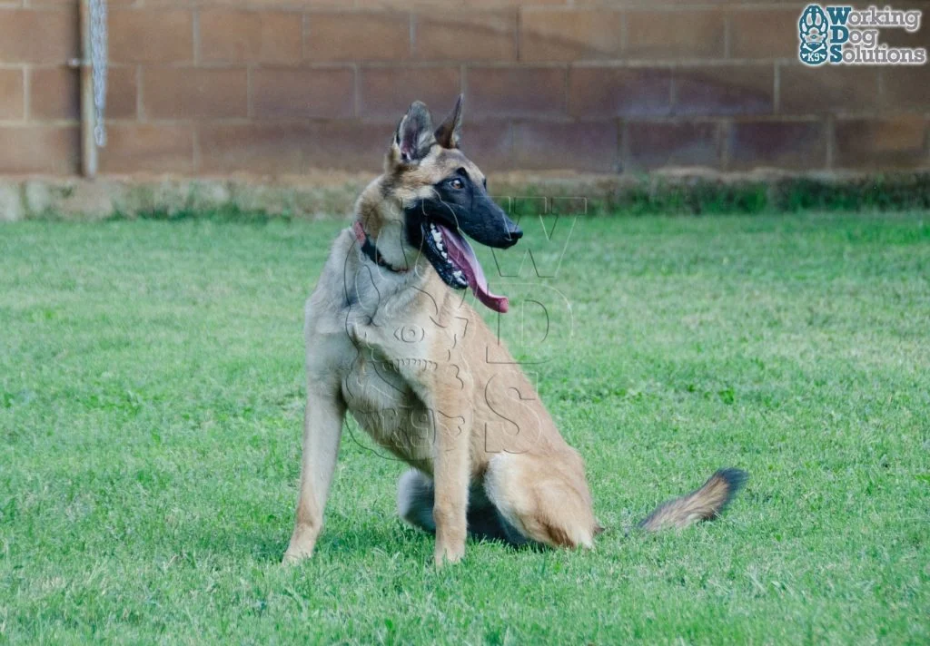HERA, fotografia 9