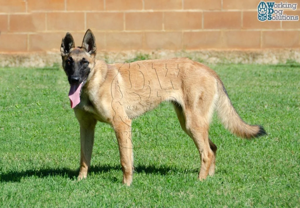 HERA, fotografia 10