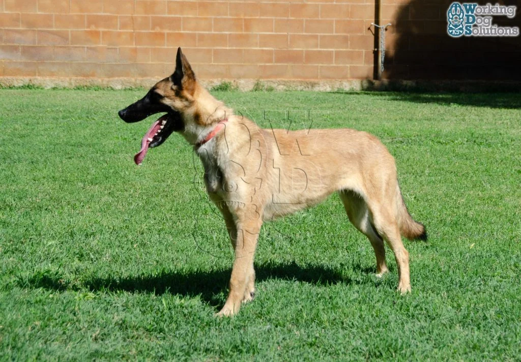 HERA, fotografia 11