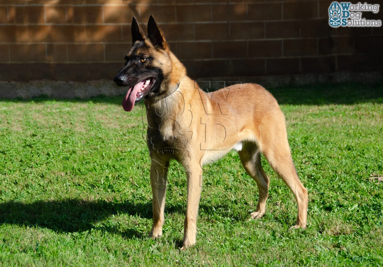 MAX, fotografia 3
