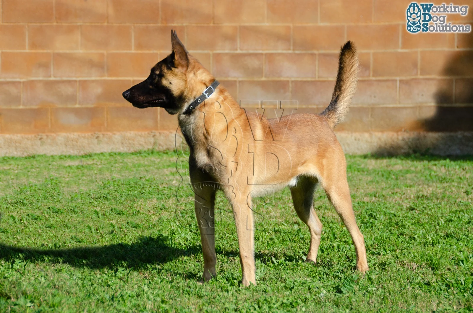 MAX, fotografia 4