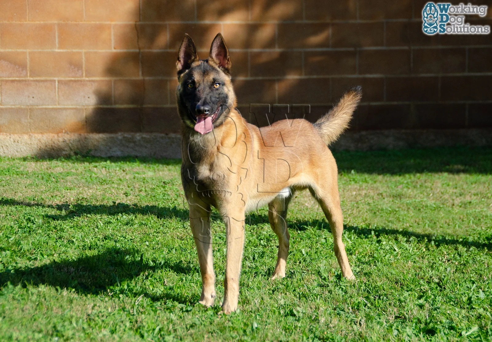 MAX, fotografia 5