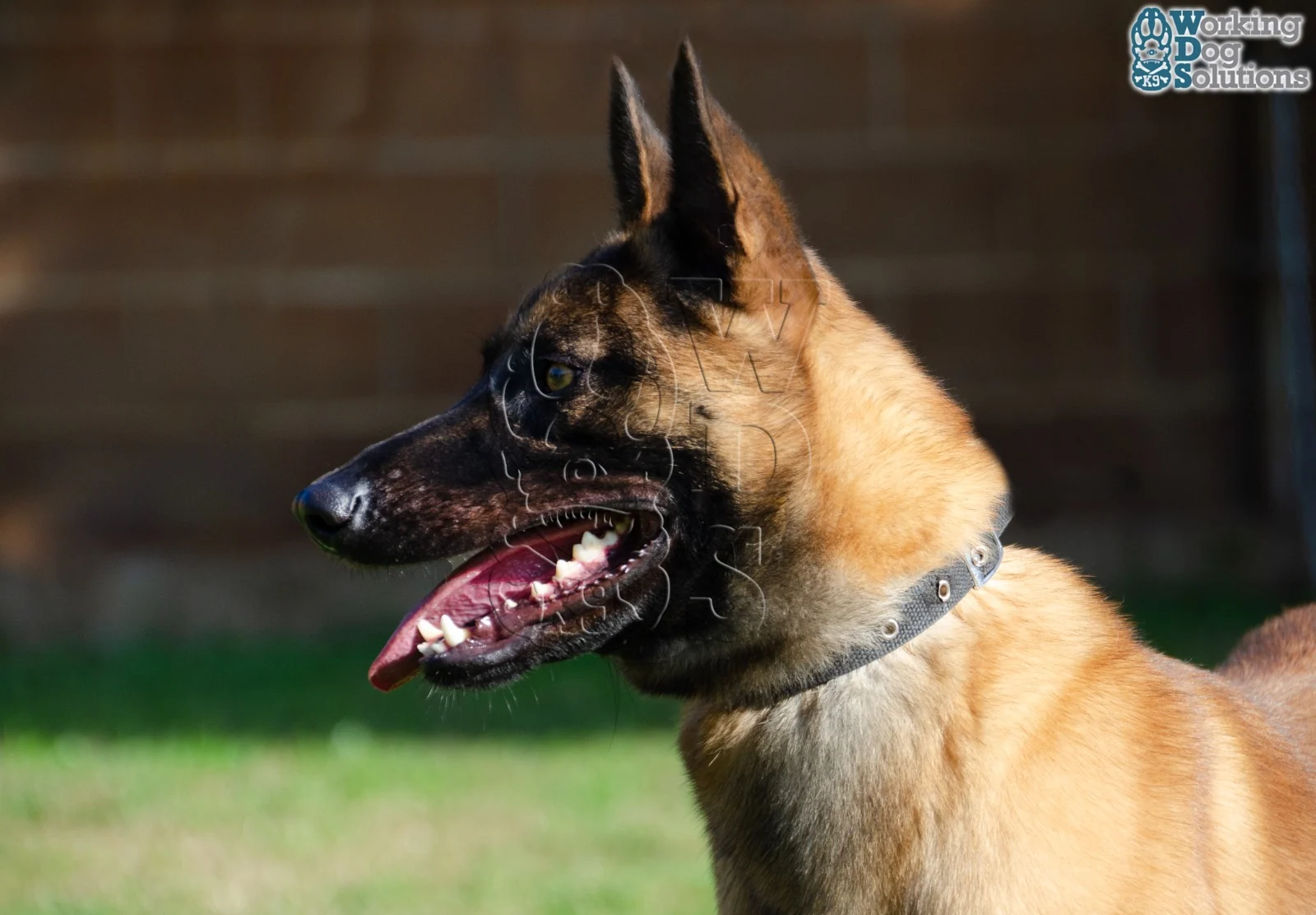 MAX, fotografia 6