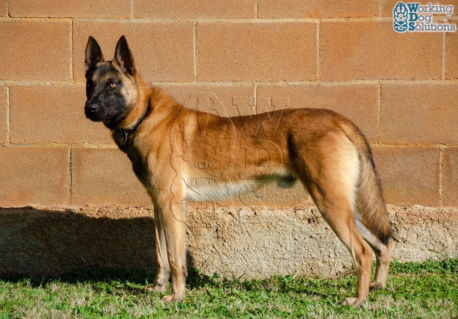 MAX, fotografia 7