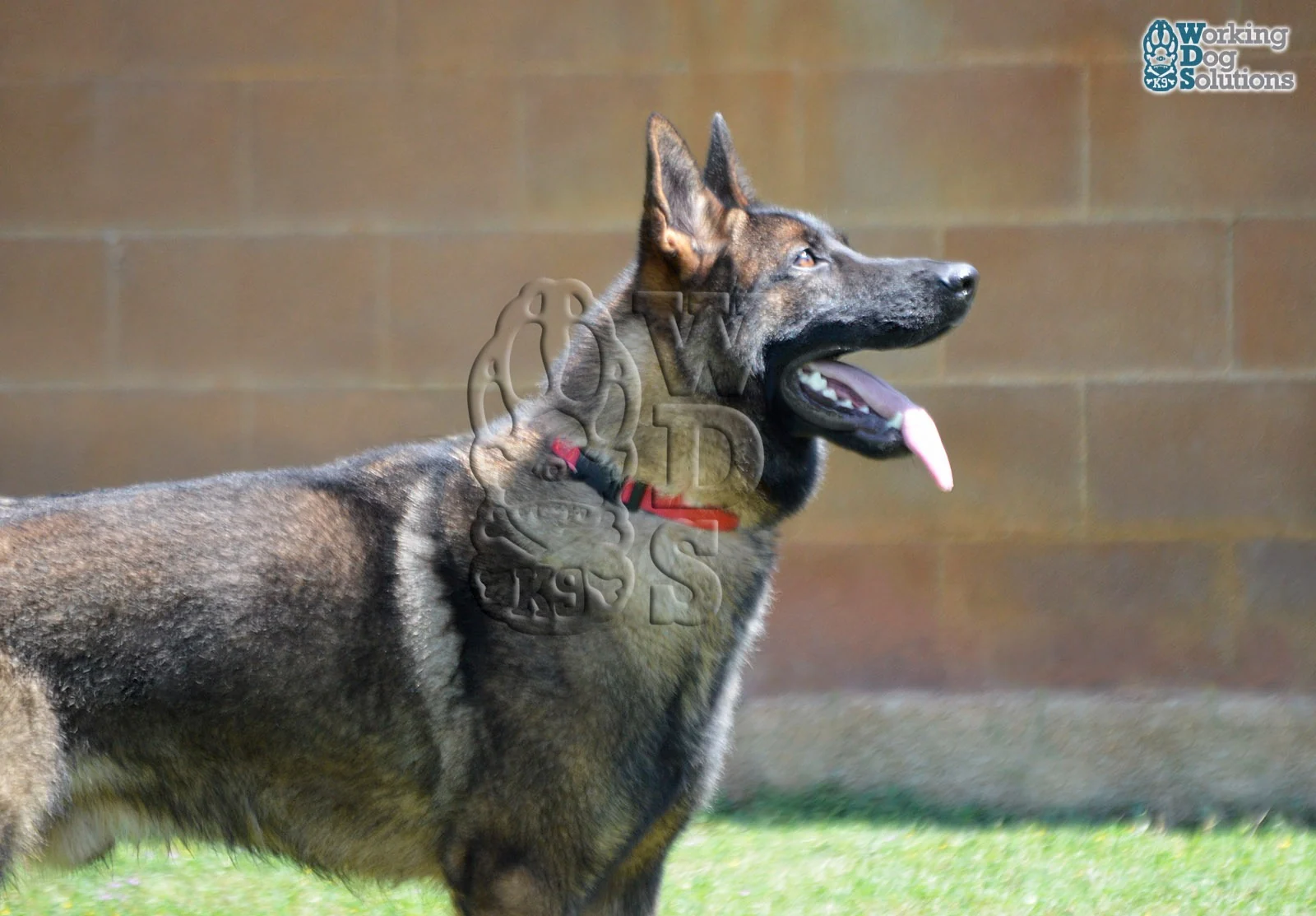 REX, fotografia 16