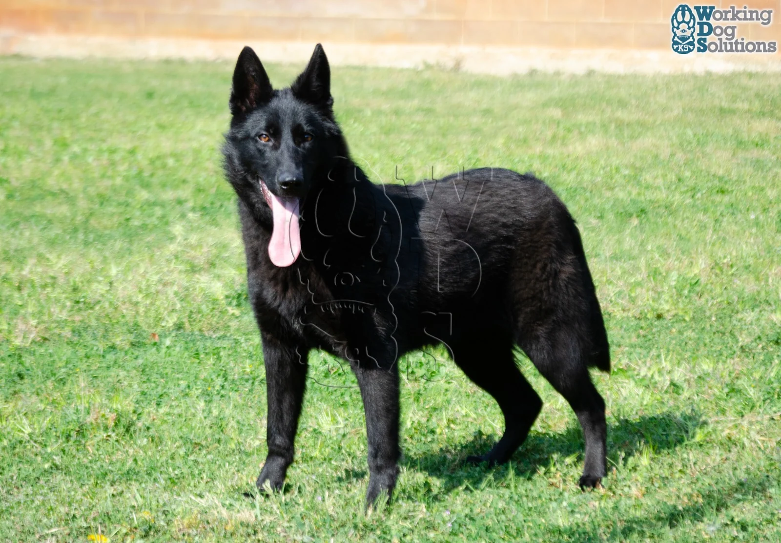 ZAIRE, photograph 9