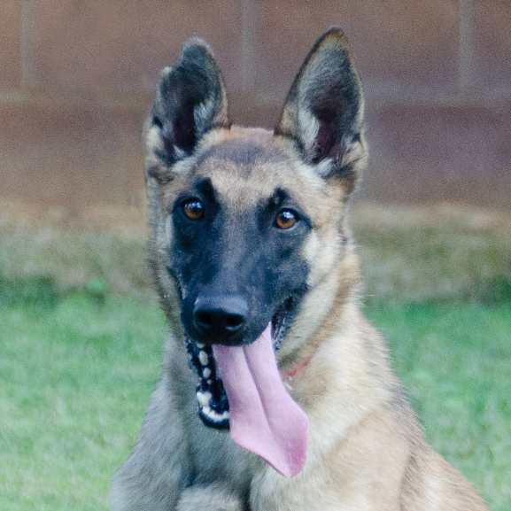 Hera