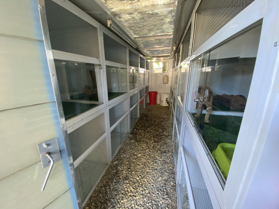 Residencia canina