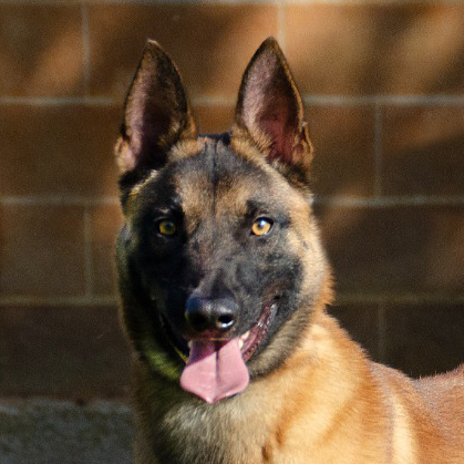 Max